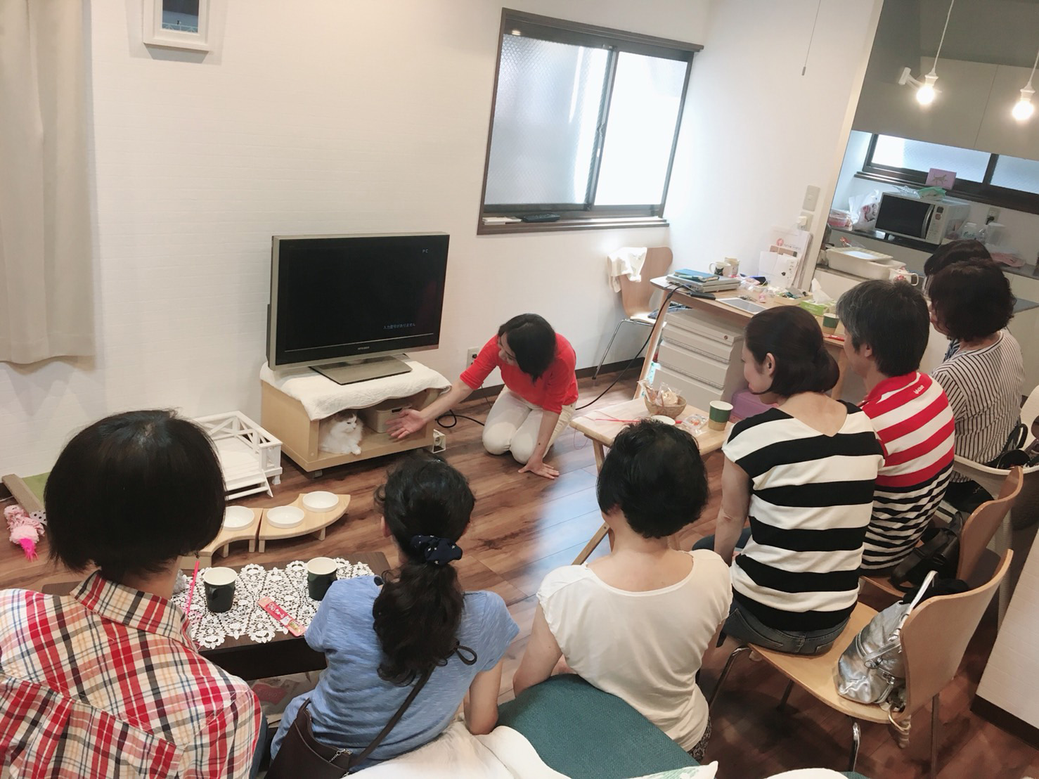 猫ブリーダー　高橋英美　ネコピアノ