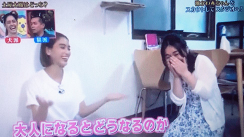 猫ブリーダー 高橋英美 ネコピアノ