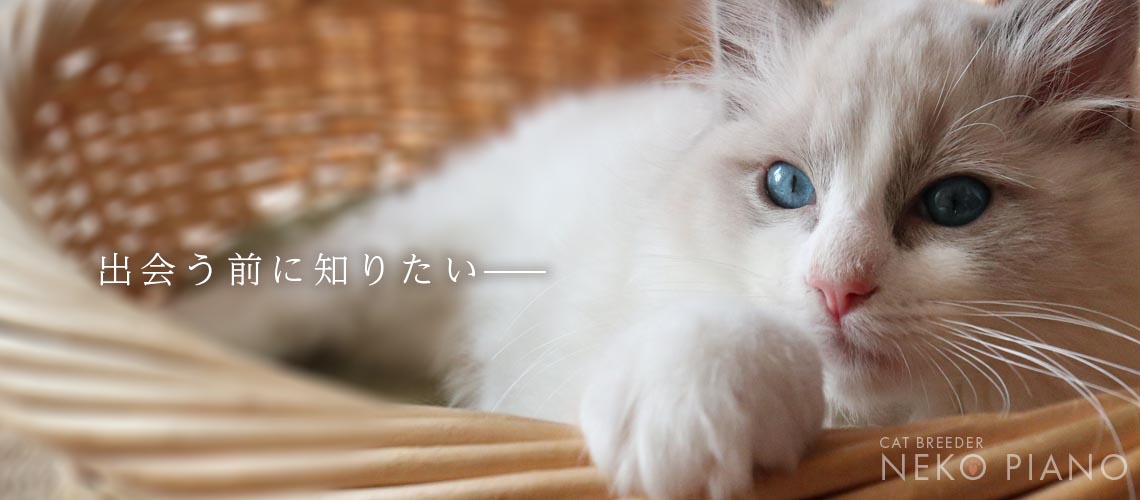 ご予約について