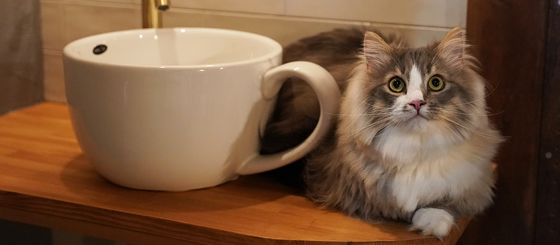 隠れ家フォトスタジオ