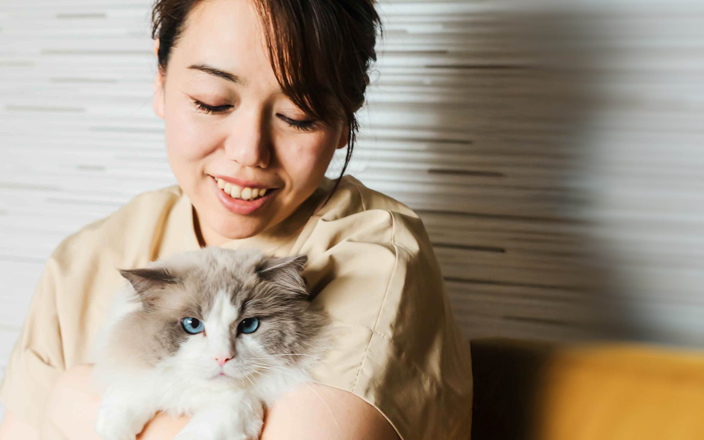 ラグドールブリーダー店長